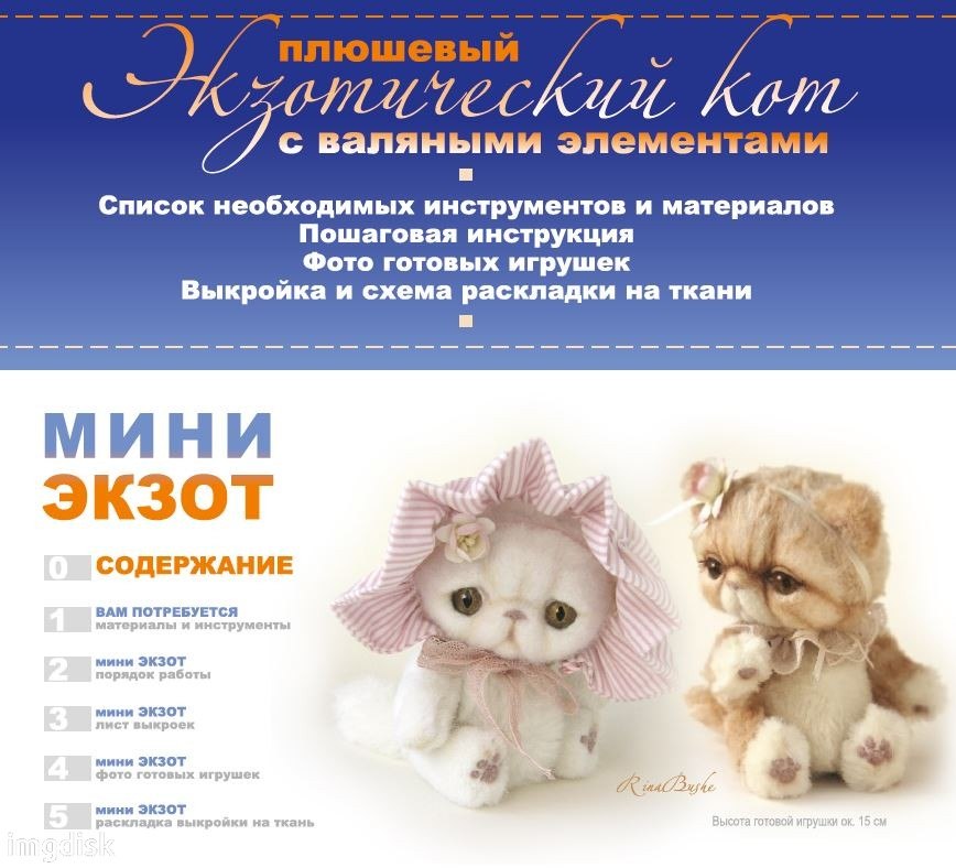 Мастер-класс _мини экзот_. Автор Рина Буше._0.jpg